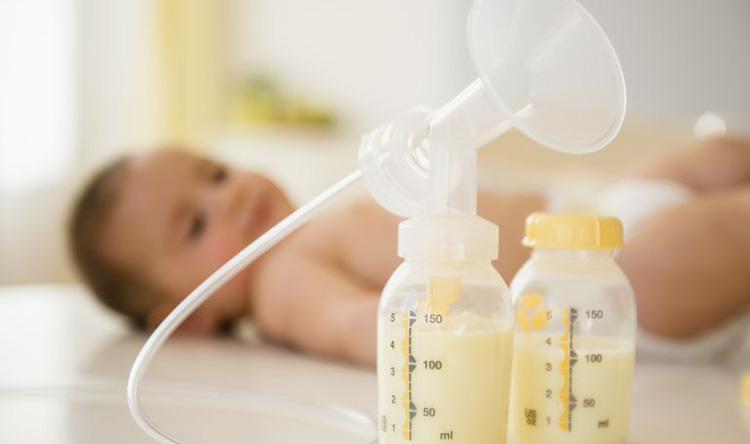 دوشیدن شیر از روشهای قطع شیردهی