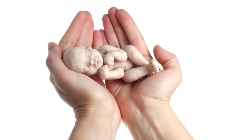 سقط جنین در ماه های اولیه بارداری