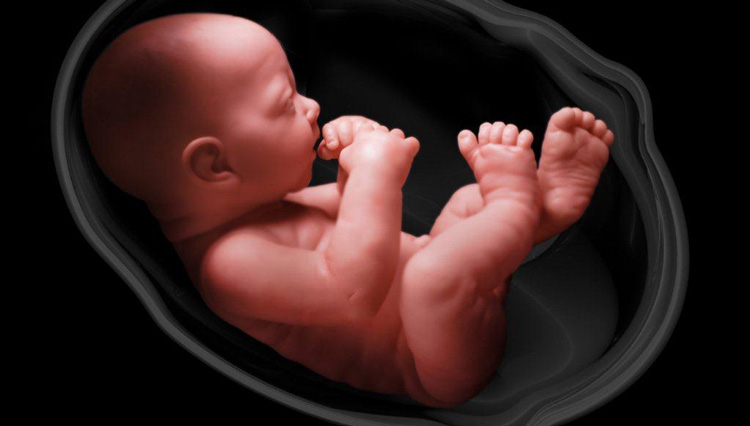 رشد جنین در مایع آمنیوتیک 