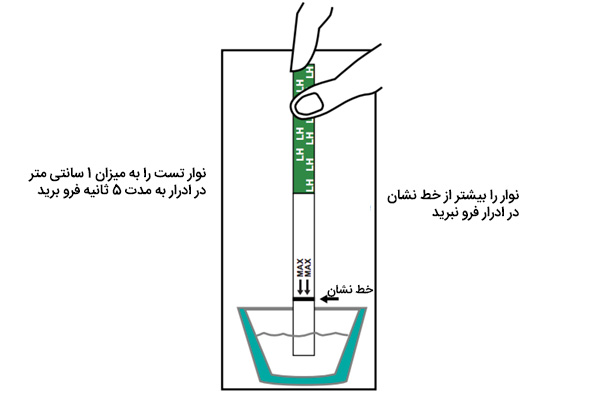 کیت تخمک گذاری