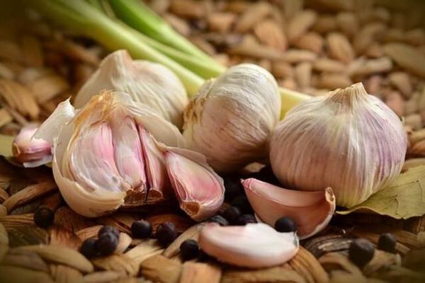 موارد احتیاط و اثرات خوردن سیر در بارداری