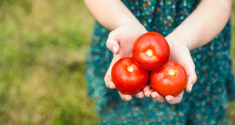 خوردن گوجه فرنگی در بارداری