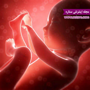 بارداری هفته به هفته - هفته های  بارداری