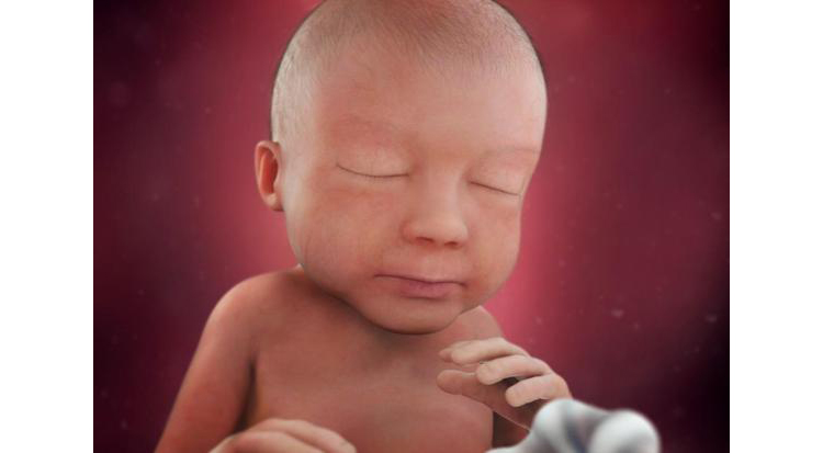هفته 28 بارداری و شرایط جنین در رحم