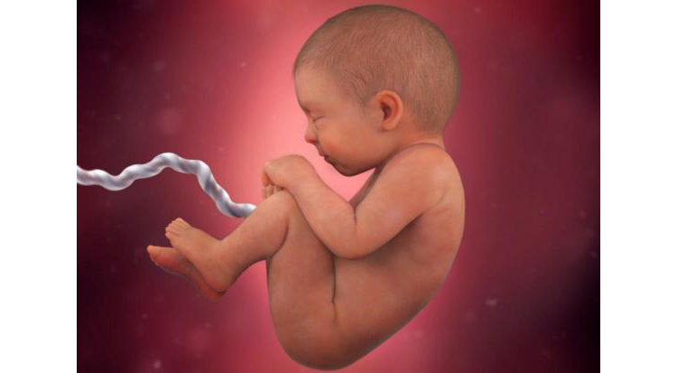 هفته 38 بارداری و تغییرات جنین برای زایمان