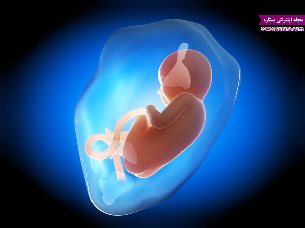 حجم مایع آمنیوتیک چقدر باید باشد؟ - عکس جنین در ساک بارداری
