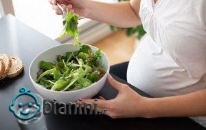 رژیم غذایی مناسب برای 3 ماهه اول بارداری