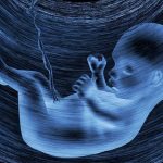 سونوگرافى در حاملگى چه زمان و چرا؟
