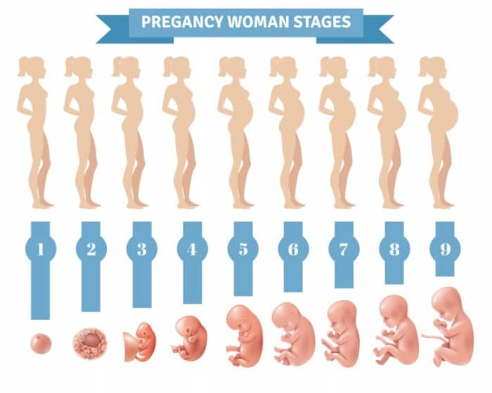 زایمان در هفته 33 بارداری 