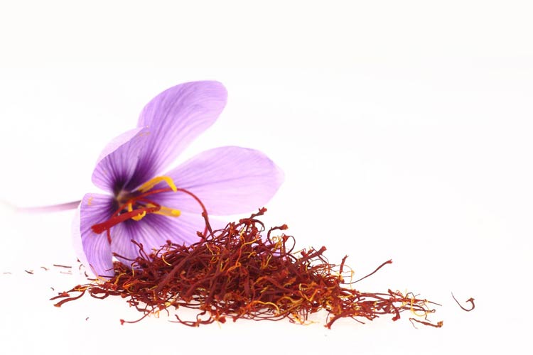 زعفران یکی از معروف‌ترین گیاهانی است که به عنوان داروی سقط جنین مخصوصا در طب قدیم استفاده می‌شد