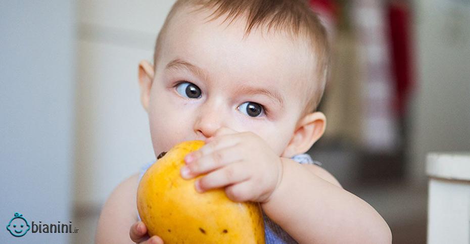 چه زمانی نوزادان می‌توانند انبه بخورند؟