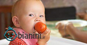آیا کودکان می‌توانند گوجه فرنگی بخورند؟