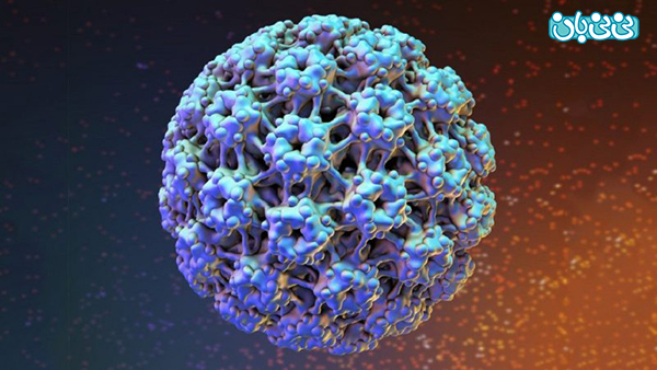 ویروس HPV و سرطان دستگاه تناسلی