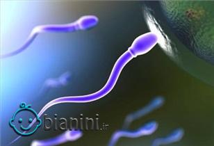 بارداری موفق با این نوع پروتئین