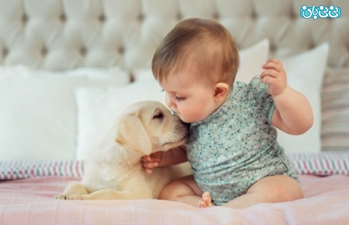 چگونگی دوستی کودک با حیوانات