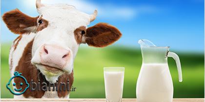 آﻟﺮژی ﺑﻪ ﭘﺮوﺗﺌﻴﻦ شیر ﮔﺎو چیست؟