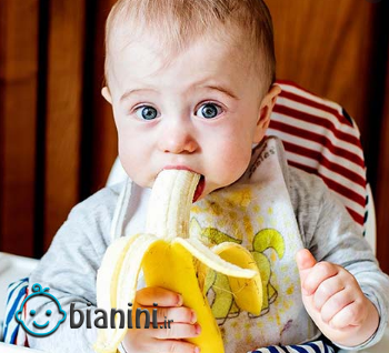 از چه زمانی می توان به نوزادان موز داد؟