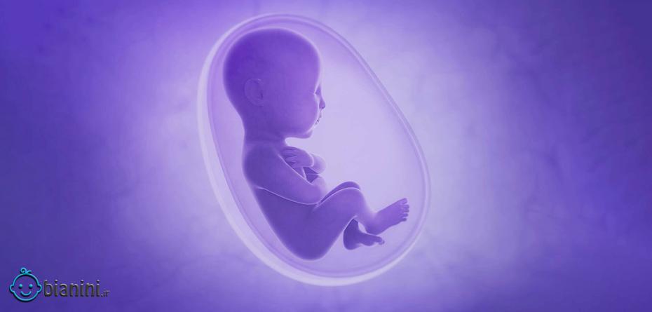 تقویت جفت جنین با چه روشی ممکن است؟