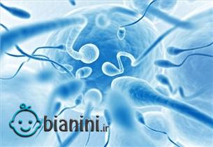 تولید داروی گیاهی و ارگانیک درمان ناباروری مردان در کشور