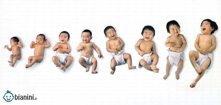 راهنمای تصویری: مراحل رشد و تکامل کودک 