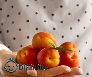 زردآلو در بارداری