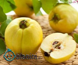 به در بارداری