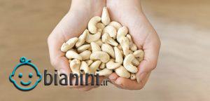 مصرف بادام هندی در بارداری چه فوایدی دارد؟
