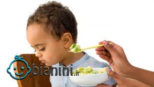 کلید های رفتار با کودک بد غذا