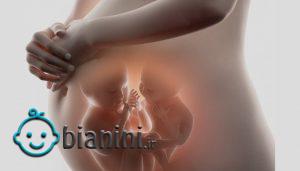 آیا علائم بارداری دوقلو را می‌شناسید؟